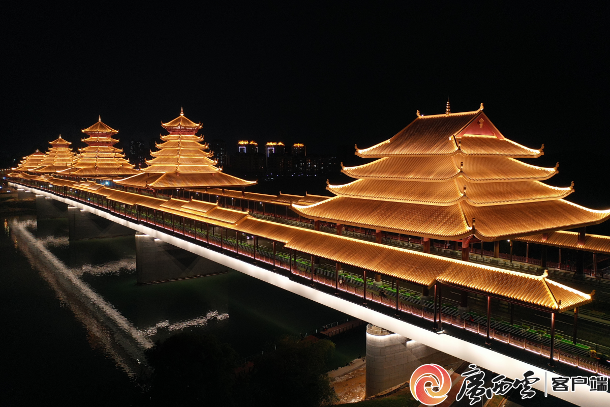 凤凰岭大桥夜景.柳州市融媒体中心 供图