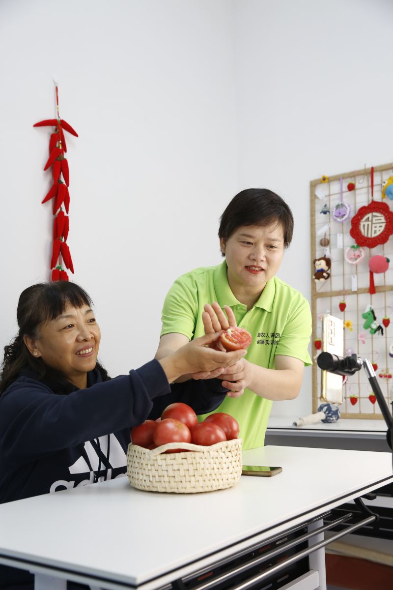  Wang Dan is working with the anchor to "rehearse" the live delivery of goods and promote tomatoes. Photographed by Correspondent Ma Pingchuan