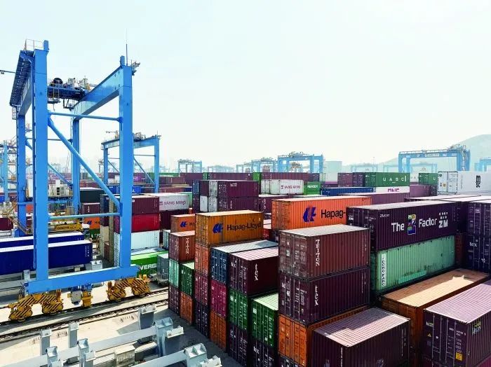 青岛港全自动化集装箱码头。记者 费天元 摄