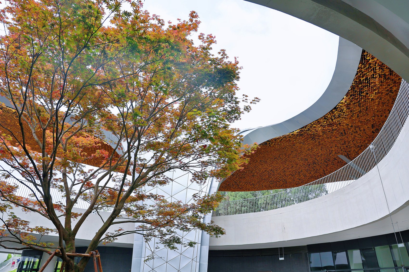 主展馆中庭，植物与建筑对话。