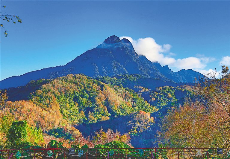 "五一"来海南怎么玩?这就给你安排!