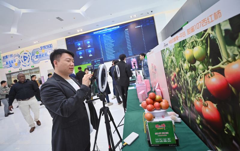 4月29日，中国乐谷·村播学院总部基地，一位主播现场直播平谷特色农产品。新京报记者 薛珺 摄