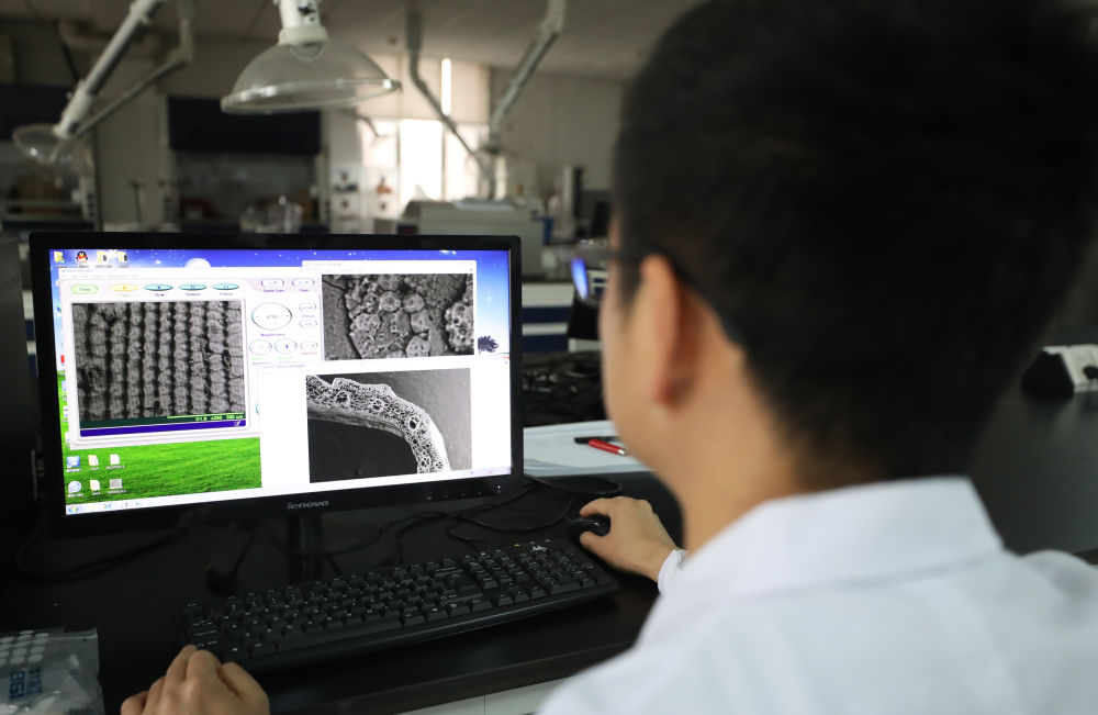　　↑4月28日，实验室工作人员在用扫描电镜观察水稻组织结构。新华社记者 杨青 摄
