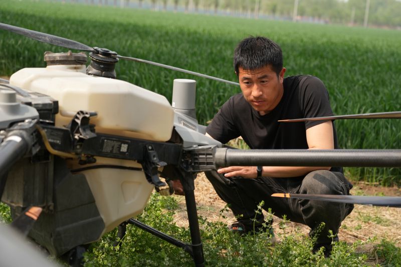 4月26日，顺义区一处麦田地头，农业无人机飞手杨良正在检查设备。新京报记者 陈超 摄