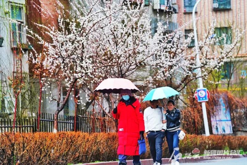 乌鲁木齐市民撑伞出行（资料图片）。石榴云/新疆日报记者张万德摄
