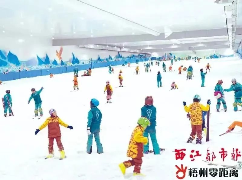 雪立方冰雪世界滑雪馆 杨扬 摄