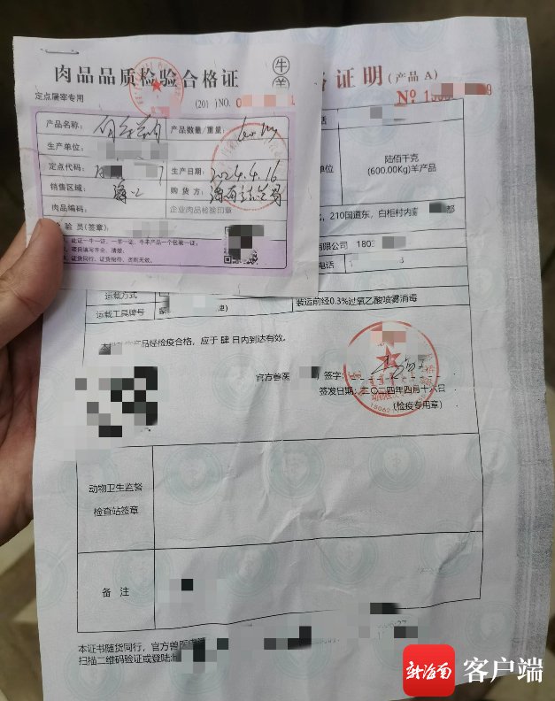 海南和业贸易有限公司负责人提供的动物检疫合格证明显示，其使用的白条羊来自内蒙古鄂尔多斯。记者 姜飞 摄