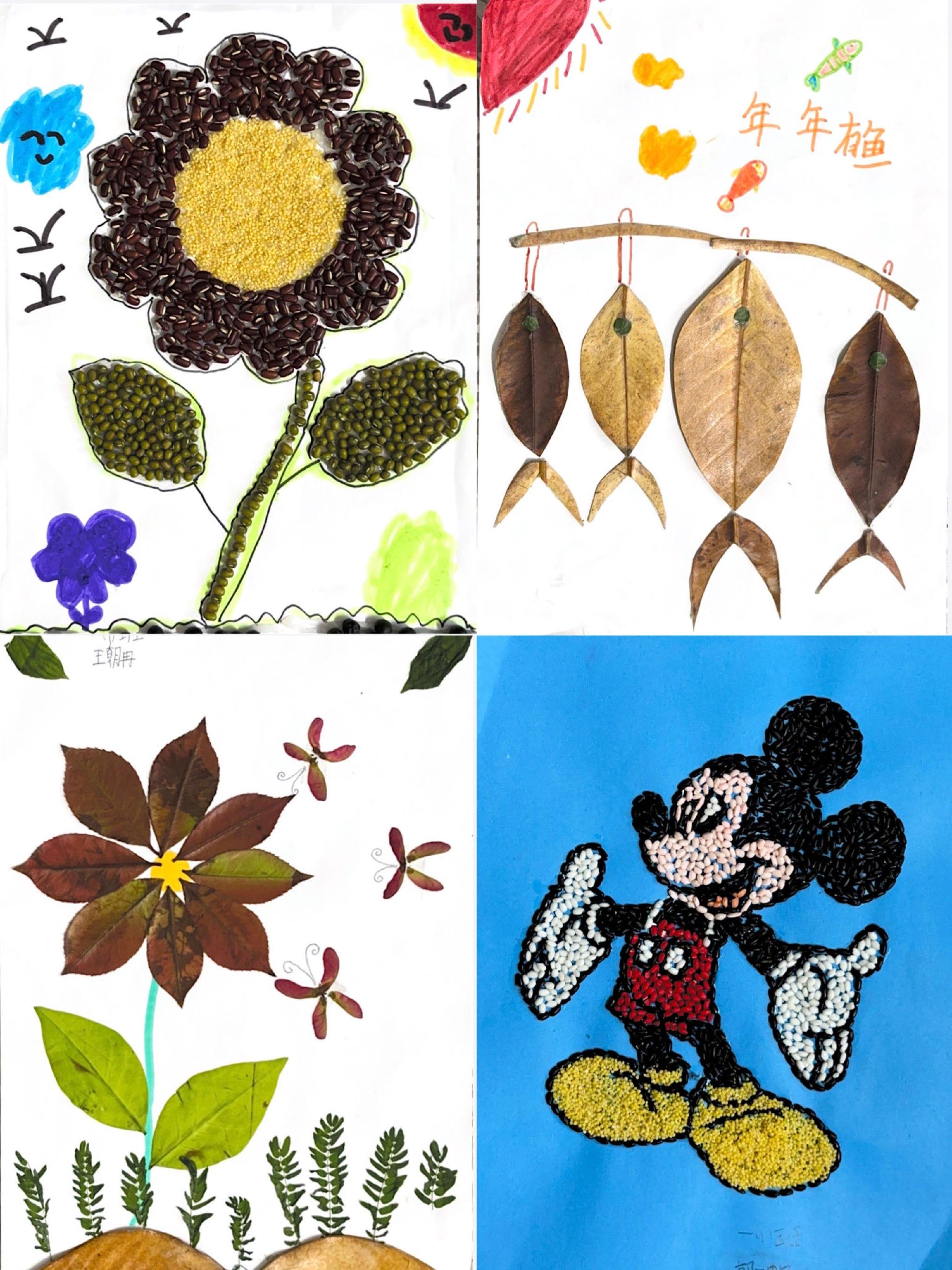 他们有的选择了美丽的花朵,如蔷薇,迎春花,来制作植物标本;有的选择用