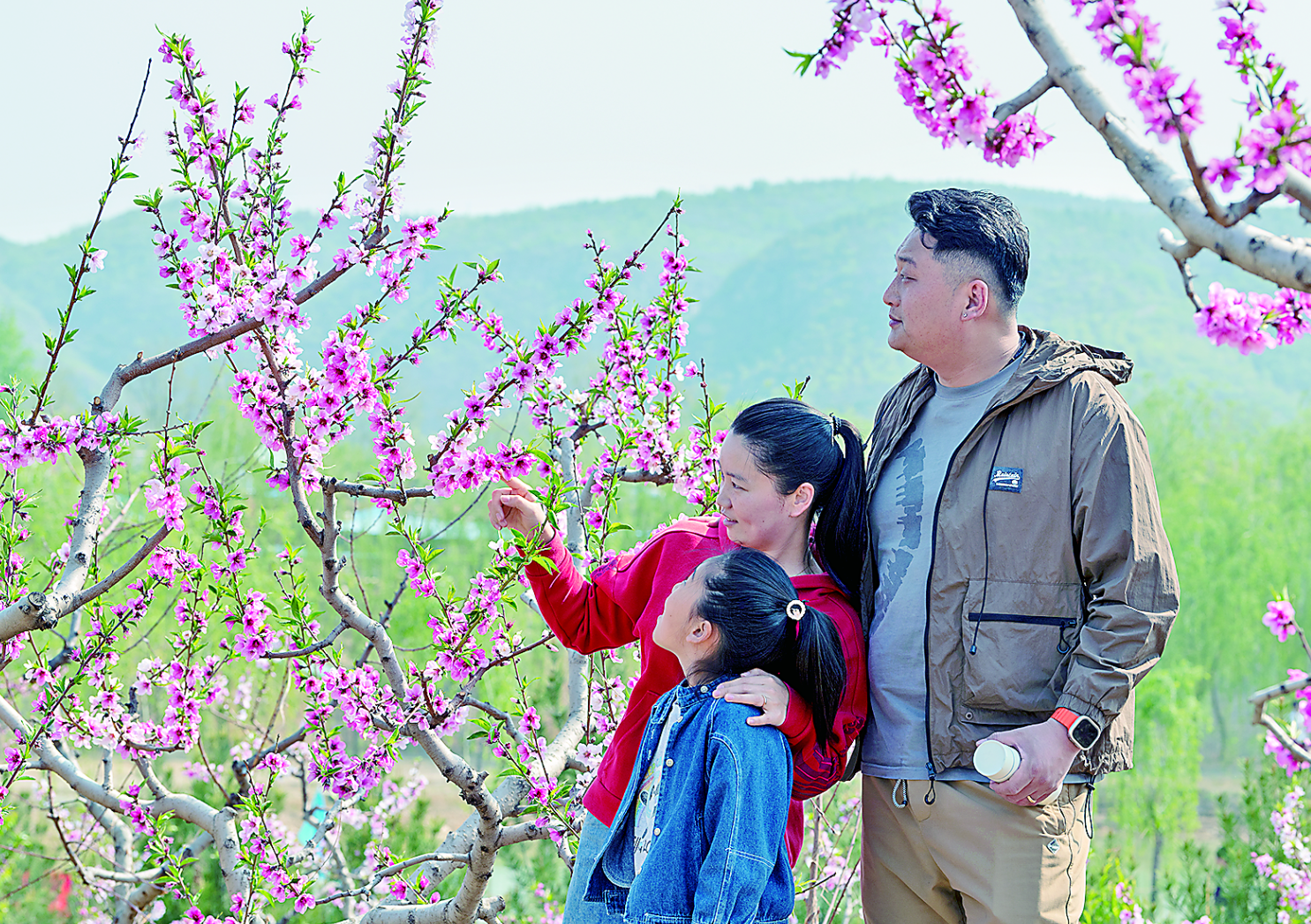游客在蒋福山赏花踏青。记者 王洋洋 摄