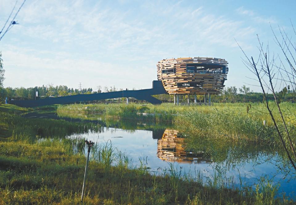 北京:将形成100处平原大美林海和100条美丽"城市画廊"