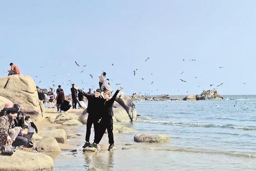 4月28日，秦皇岛市北戴河老虎石公园，游客在海滩与海鸥互动。河北日报记者 张辉摄