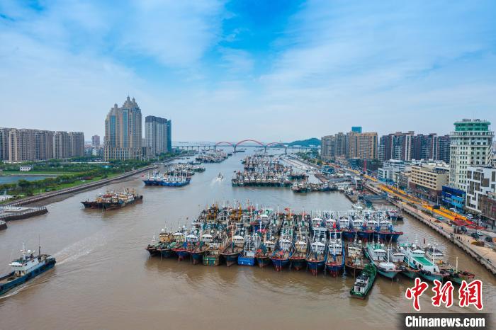浙江舟山沈家门渔港渔船靠泊场景. 诸葛晓明摄