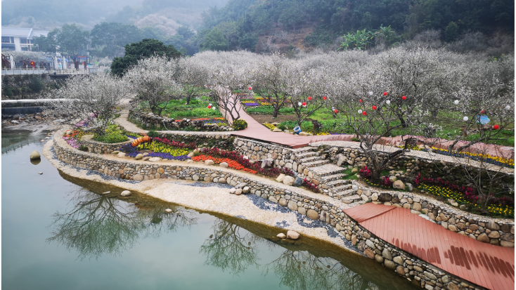 陆河螺溪谷旅游景区22红海湾金屿滩旅游区看完以上景点你心中有答案了