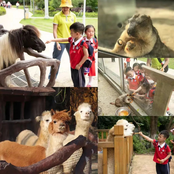 开放时间:门票:微信小程序"光明蝶谷飞鸟乐园"内含多种门票,按需购票