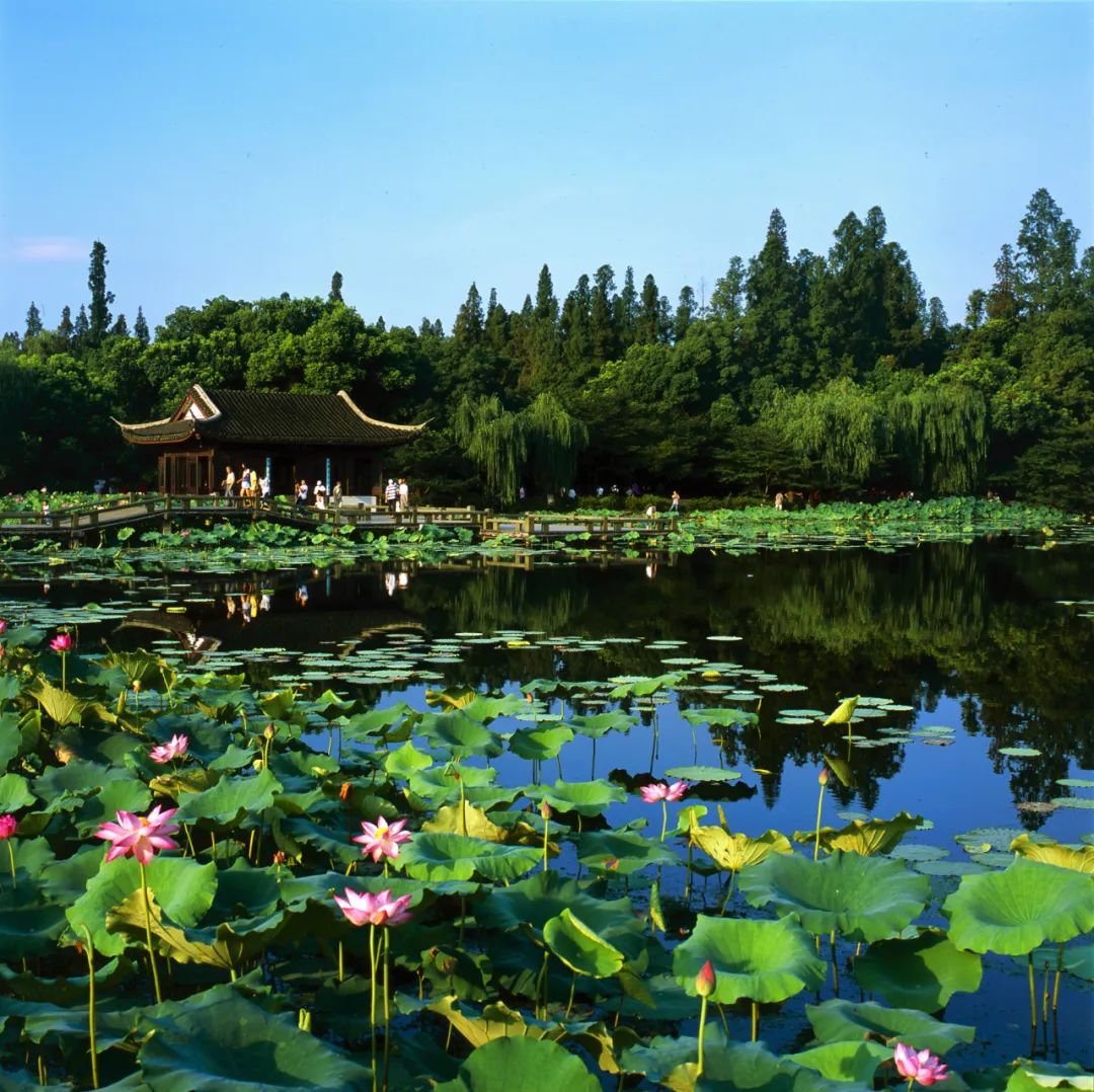 杭州花圃西溪湿地公园杭州城北体育公园实践交流5 文化传承与遗产保护