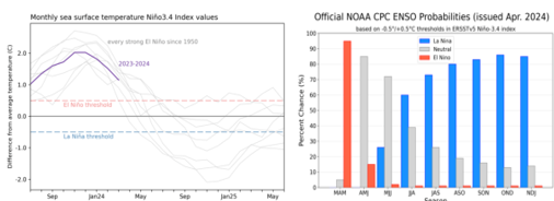 数据来源：NOAA，紫金天风期货研究所