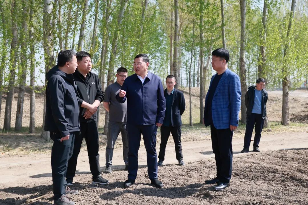杨世志到肇州县督导春耕生产和涝区施工