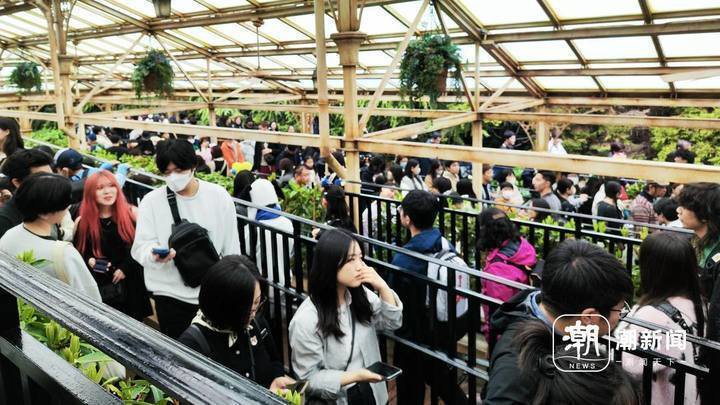 日本环球影城排队的游客。潮新闻见习记者 吴馥梅摄
