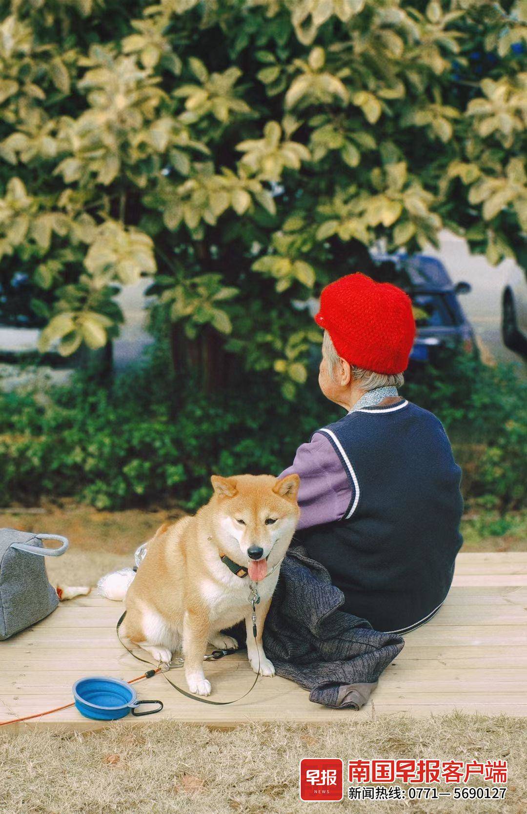 ▲文明出行，旅游的小狗也能和身边的人和平相处。图片均为受访者提供