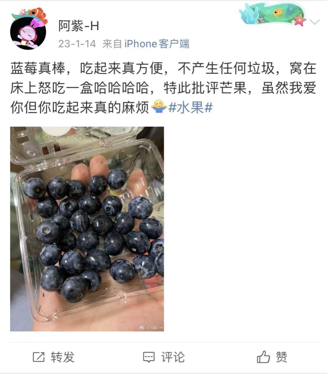 蓝莓：不产生垃圾的方便水果｜图源：微博截图