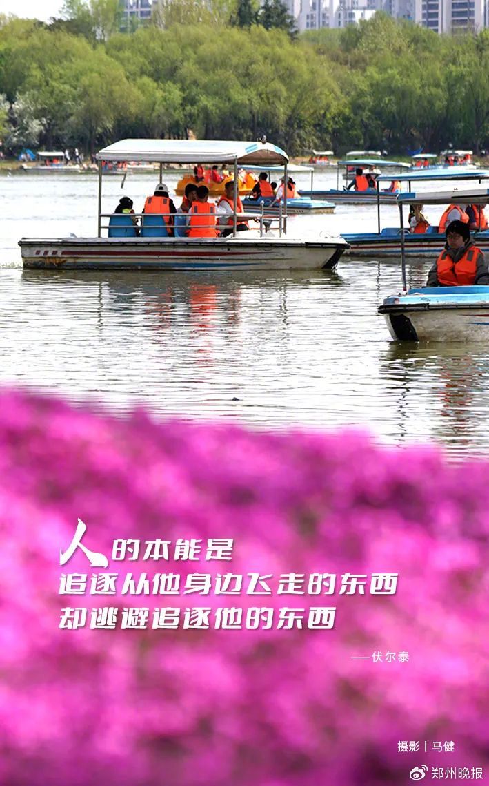 晚安郑州 | "叫花鸡里没有鸡"立案调查