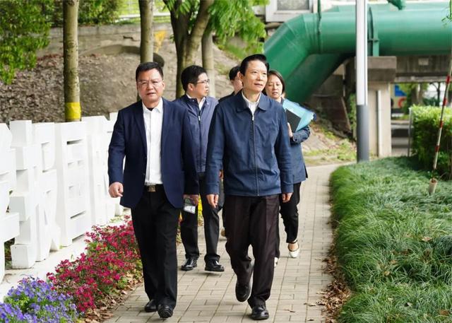 区委书记陆方舟巡林巡河,实地检查防汛工作