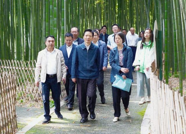 区委书记陆方舟巡林巡河,实地检查防汛工作