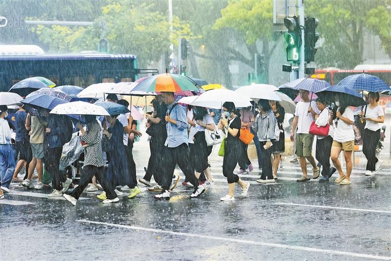近日，深圳市民冒雨出行。 深圳晚报记者 陈玉 摄