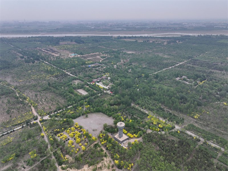 河北石家庄:河滩荒地变身生态屏障