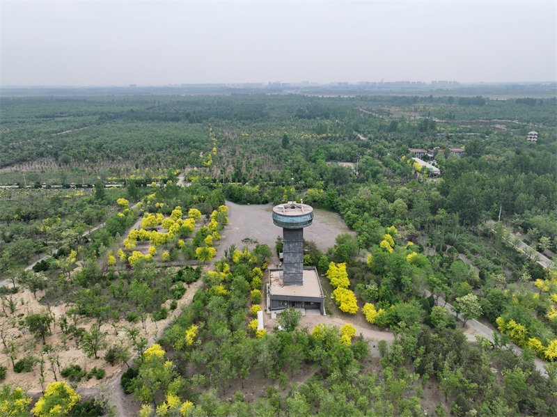 河北石家庄:河滩荒地变身生态屏障