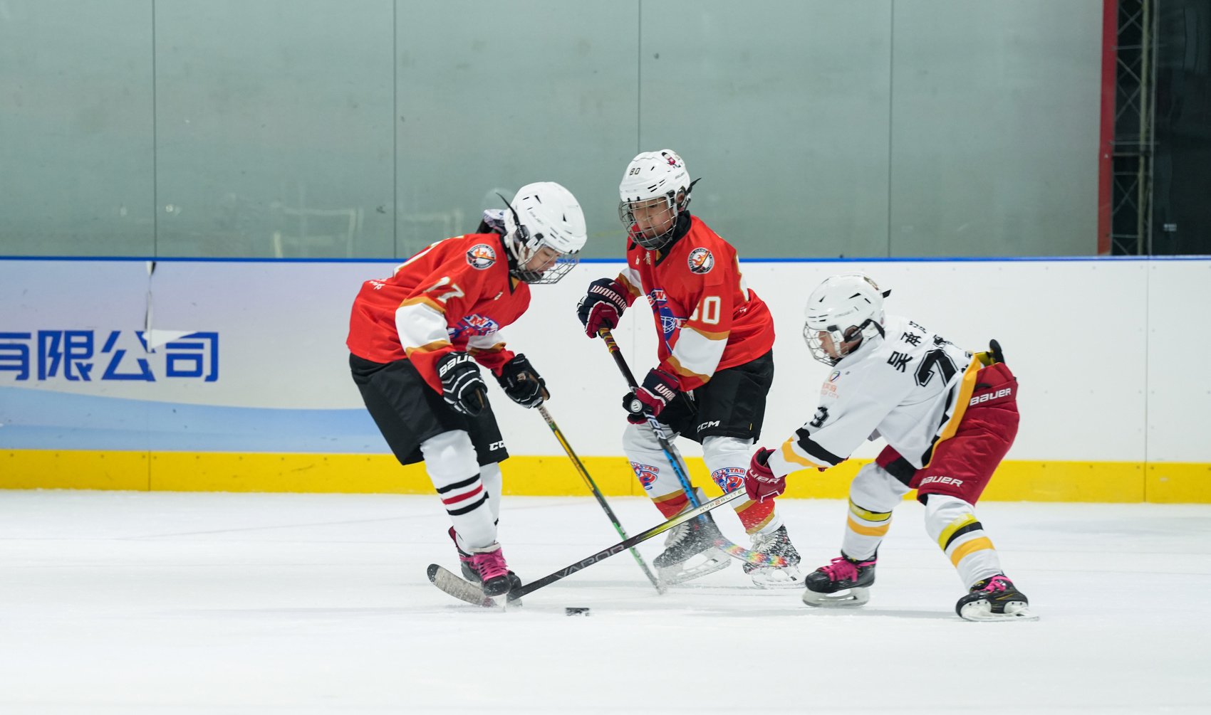 5月6日,记者从成都市冰球协会获悉,由中国冰球协会指导,全国青少年