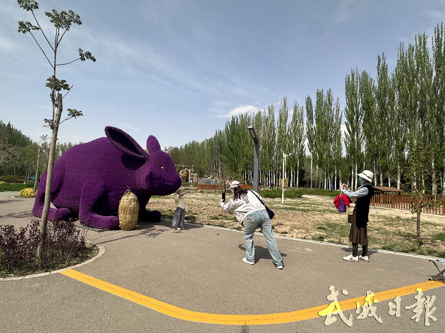 武威:文旅活动花样多 乐享假期生活好