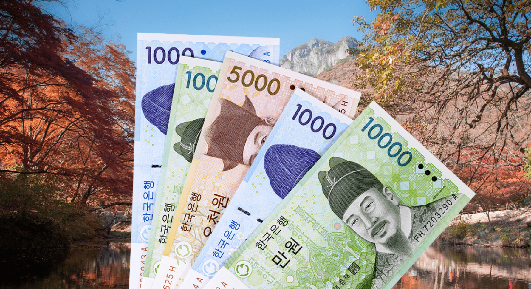 强势美元“收割”全球财富，亚洲多国汇率告急！专家警告：货币贬值不可过度