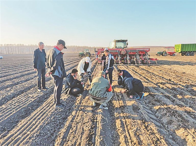 省农科院服务团在赵光农场进行农技指导.