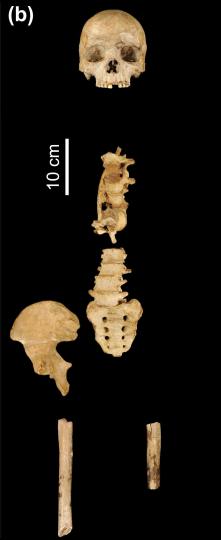 本次研究的柳江人骨架化石。中国科学院古脊椎动物与古人类研究所/供图