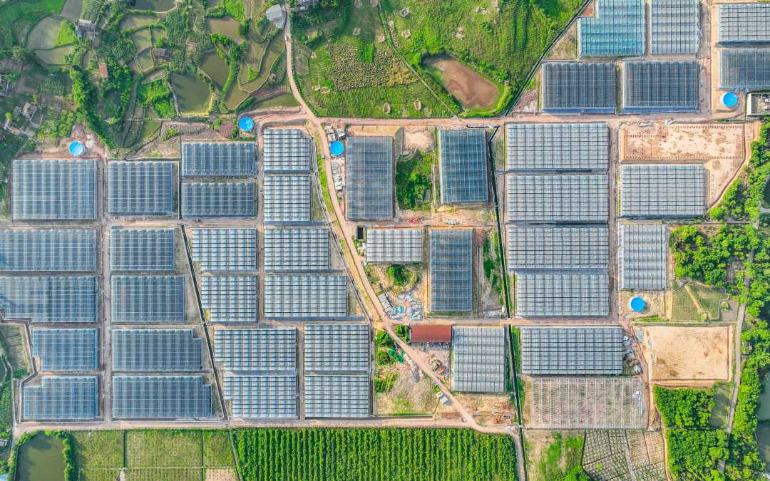 设施农业助振兴