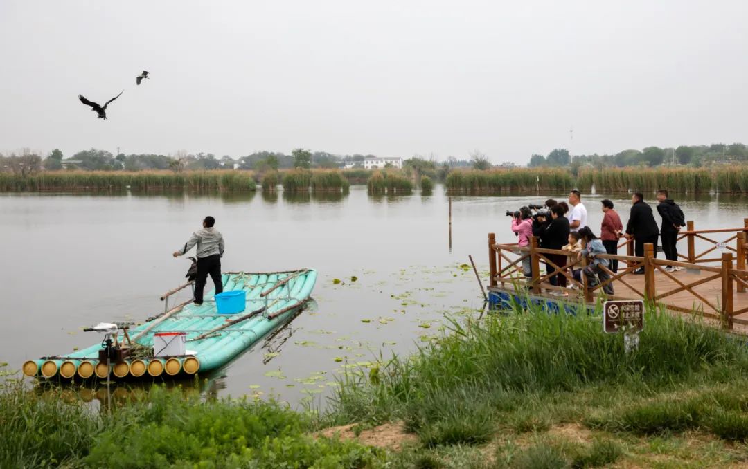 "五一"假期 衡水湖景区接待游人28万人次