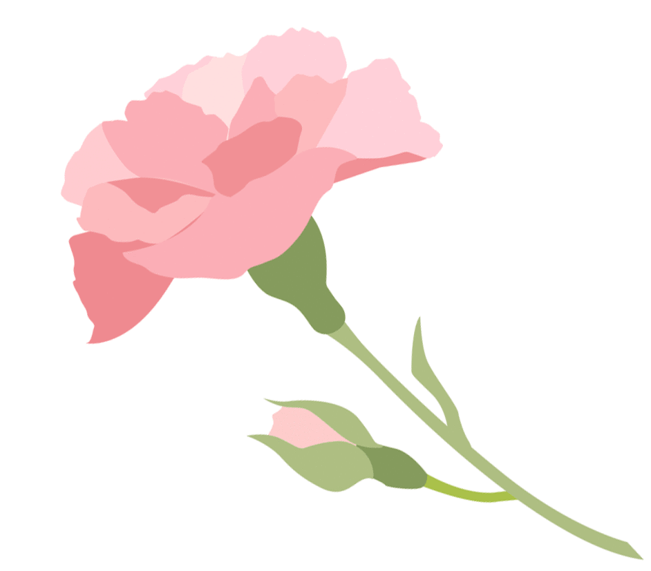 成分解析我们来具体解析一下奥若牌胶原蛋白葡萄籽胶囊的成分.