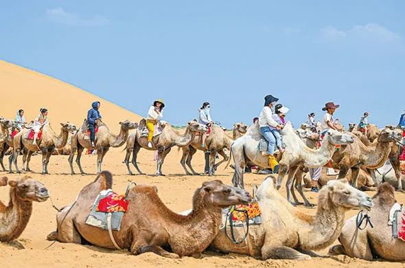 2023年7月29日,游客在鄂尔多斯市达拉特旗境内库布其沙漠中的银肯