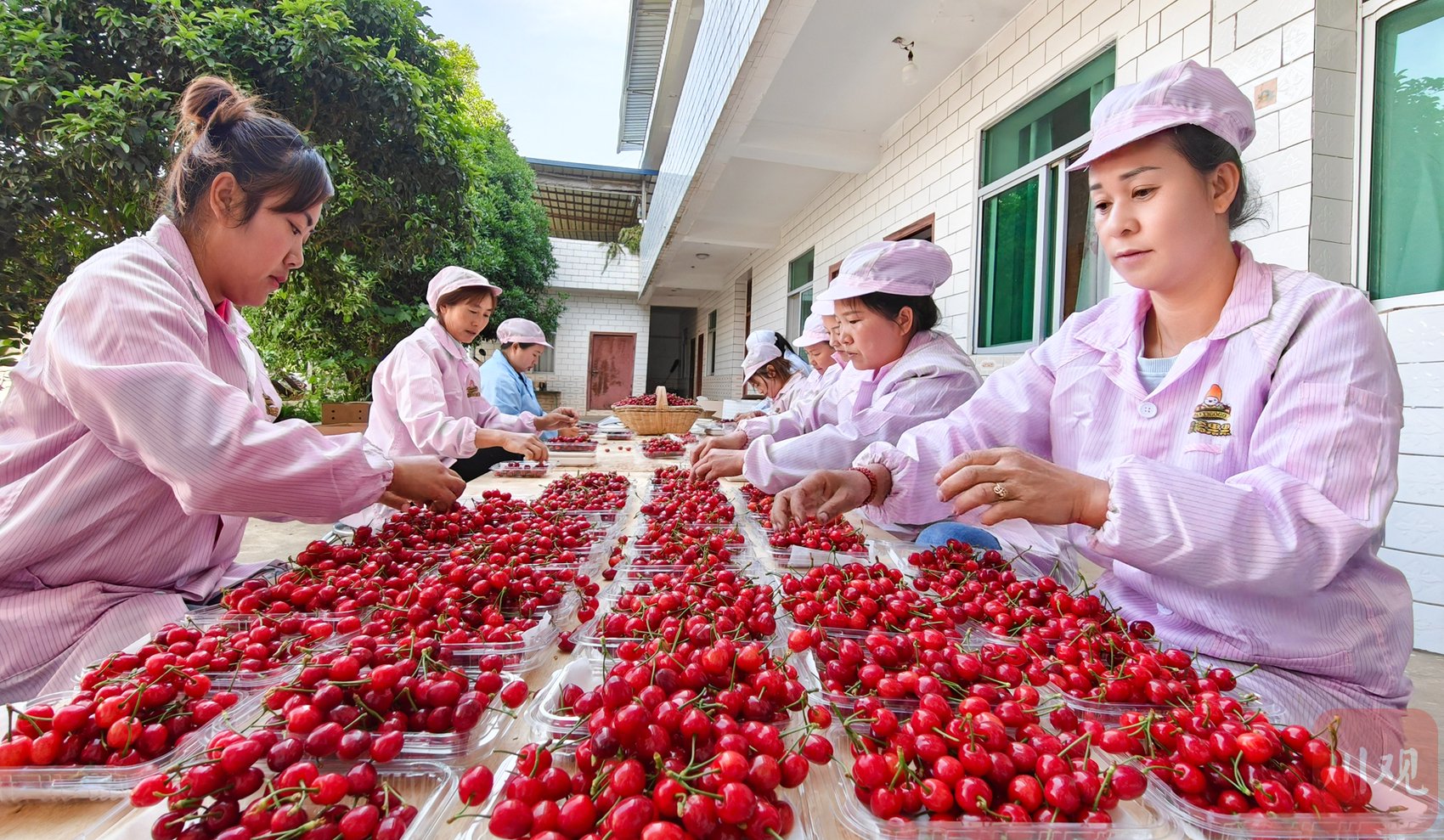 推进城乡融合发展调研行⑦丨破解城乡差距"不等式"的米易之"易"