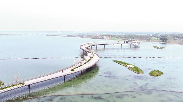 这是跨越元荡湖,连接上海,江苏两地的元荡慢行桥(2024年3月31日摄,无