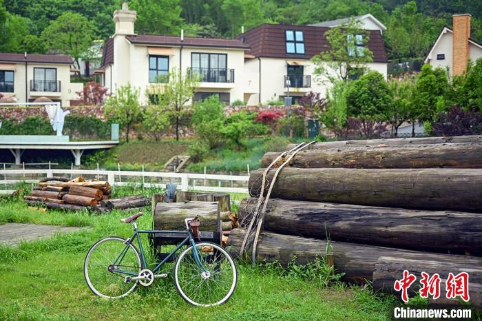 走进南京浦口响堂村"镜观"宜居乡村好生态