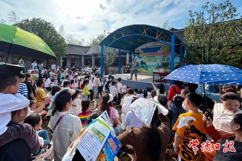 5月5日，常德野生动物世界“亚洲蛇王”表演让游客直呼精彩。记者 裴维维 摄