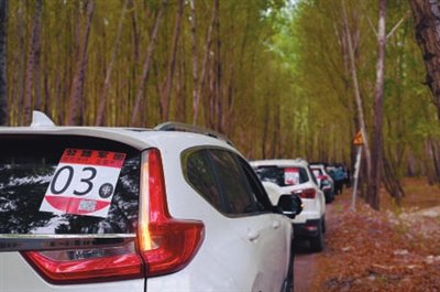 是找了一些常规的旅游景点,还是自己开发出人少景美的自驾线路?
