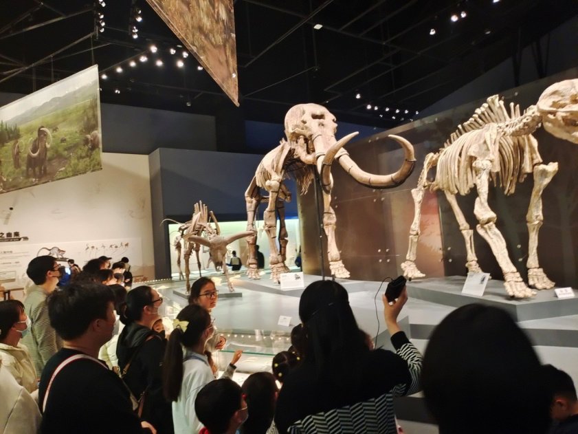 "川观科普日"博物馆日活动丨来吧,与远古恐龙,大象面对面,漫游神奇的