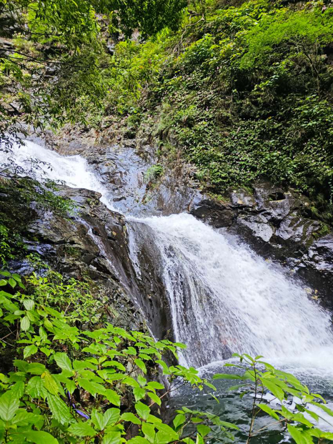 千家峒大泊水景区风光. 秦伟利摄