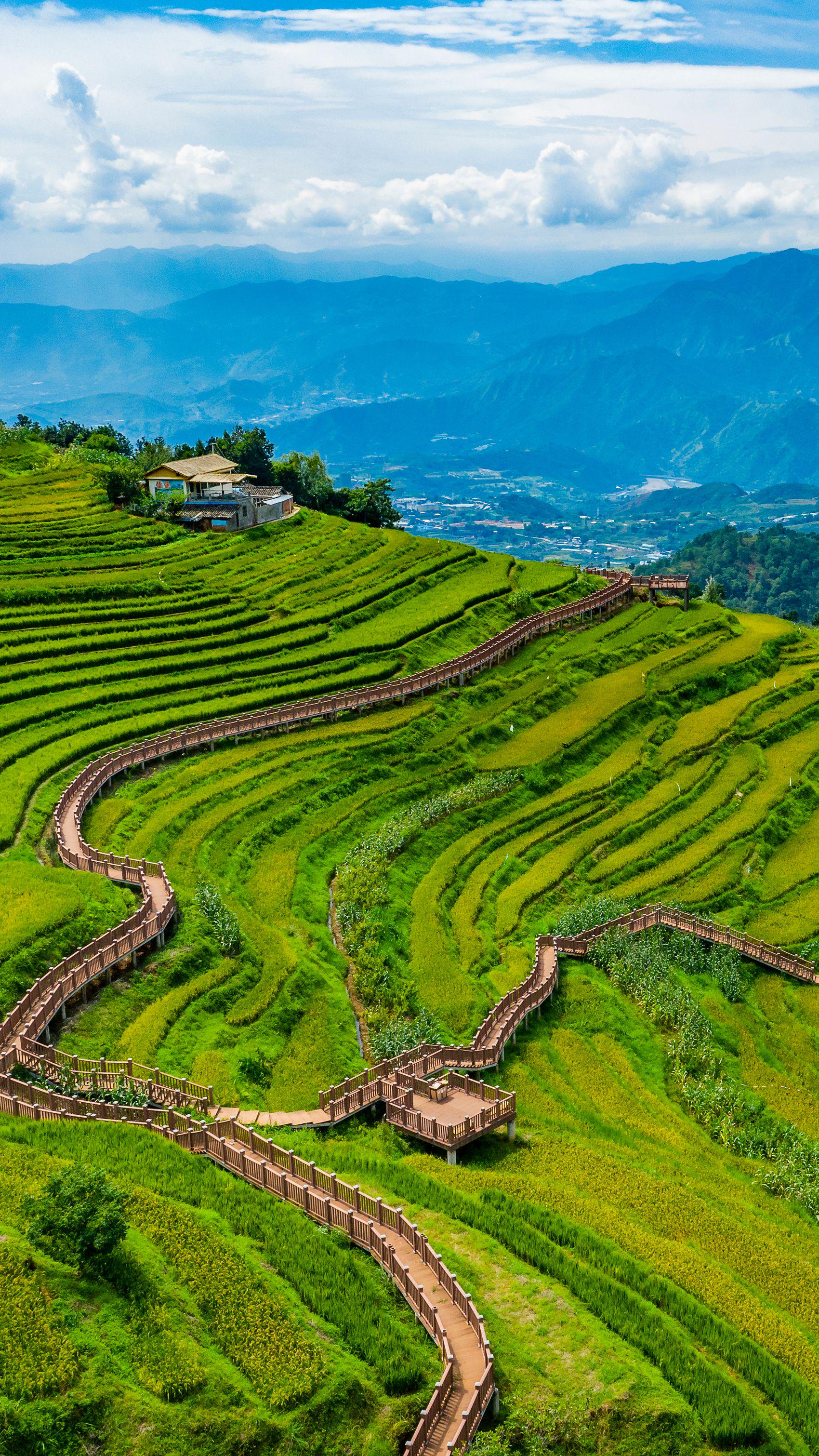 傈僳梯田景区.米易县委宣传部供图