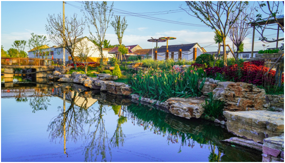 山东省临沂市临沭县:做好"五篇文章"推进乡村振兴