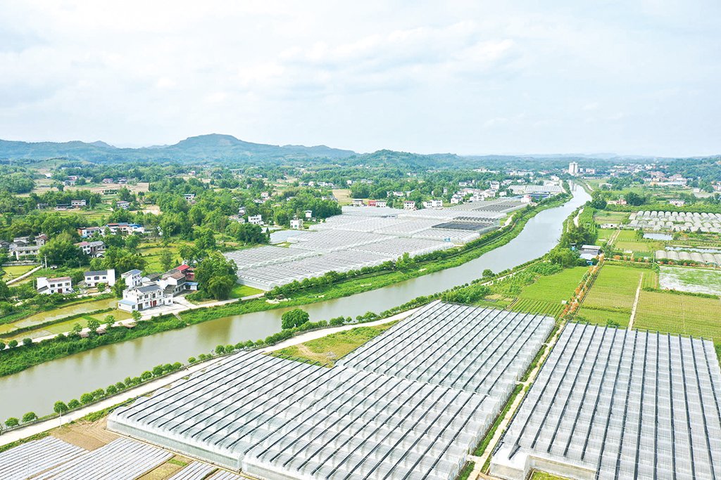 重庆市梁平区云龙镇大力发展"大棚经济"特色产业