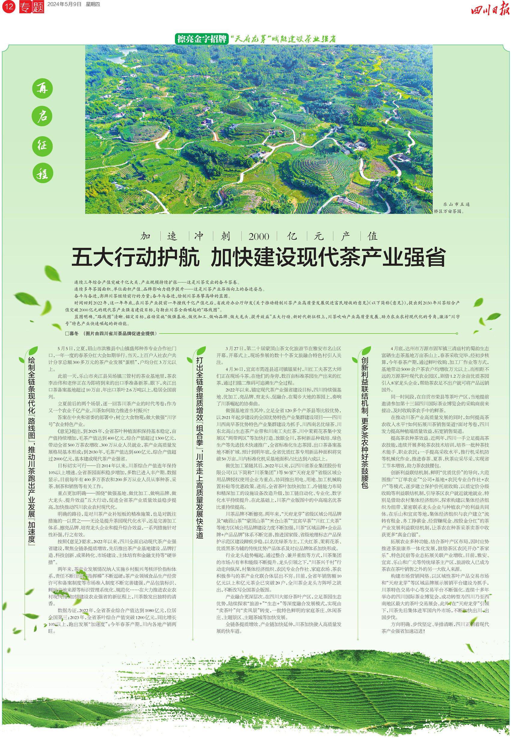 乐山市五通桥区万亩茶园.